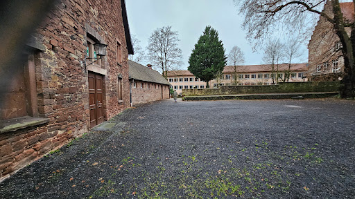 Mauerwiese - Visual