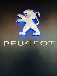 Photo n°12 de Garage Delapierre PEUGEOT à Saint-Jacques-de-la-Lande (Atelier de mécanique automobile)