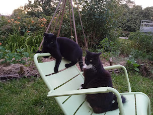 Photo n°18 de Au Bistrot du Canal - Camping - Restaurant à Chassignelles (Épicerie)