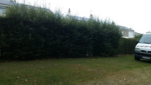Photo n°9 de Fdpaysage à Saint-Désir (Paysagiste)