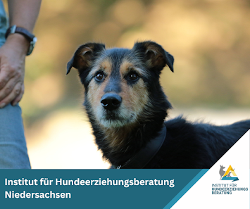 Institut für Hundeerziehungsberatung Niedersachsen Zum Schießstand 5, 29643 Neuenkirchen, Deutschland