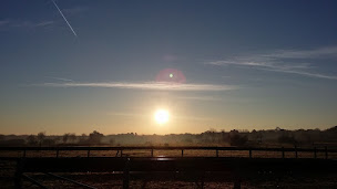 Photo n°12 de Balade à cheval et poney 31 à Lasserre-Pradère (Écurie)