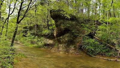 Davis Memorial State Nature Preserve