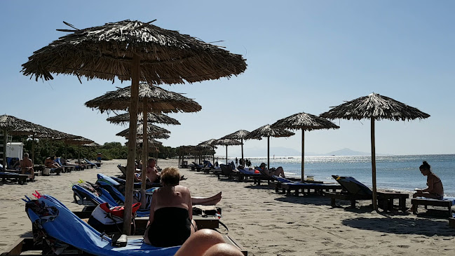 Καρδάμαινα 853 02