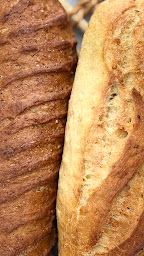 Photo n°8 de Les Gourmandises à Plancoët (Boulangerie)