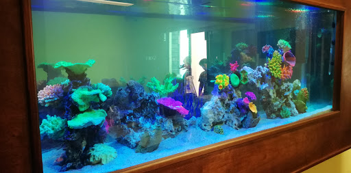ACUARIO ALBINOS
