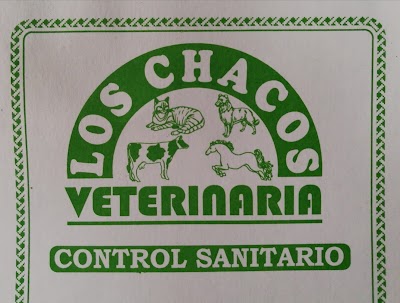 veterinary-care