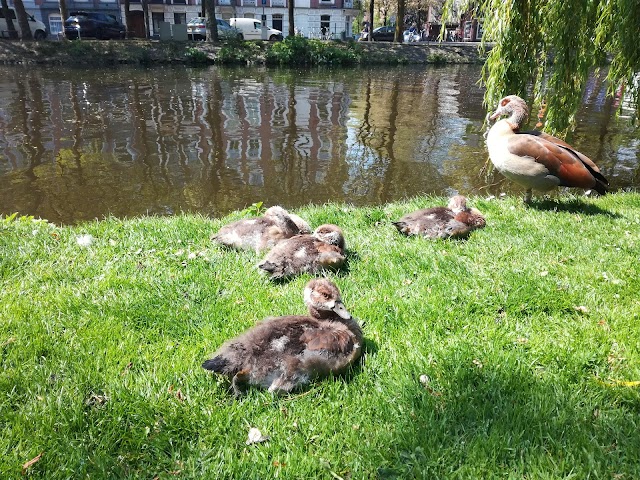 Vondelpark