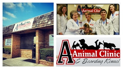 veterinary-care