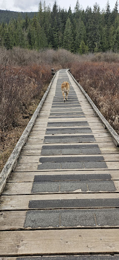 Rolley Lake Trail - Thumbnail
