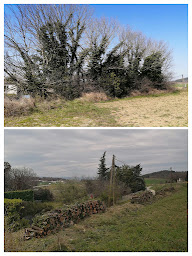 Photo n°15 de DEL VAS Espaces Verts à Étoile-sur-Rhône (Service d'élagage)