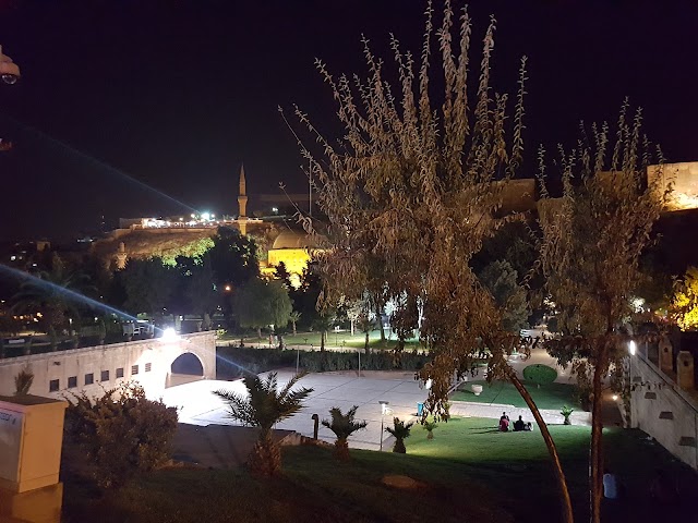 Fish Lake of Urfa