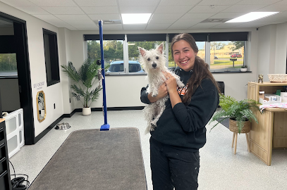 Hounds and Co. Pet Supplies and Grooming