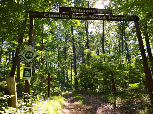 Comden-Towle Model Forest Logo