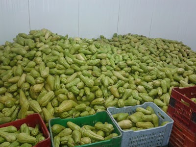 store