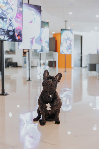 M2 Assurance Gallery - Canada