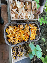 Photo n°1 de La Framboisière - Maison Blanche Sologne à Isdes (Location d'appartement de vacances)