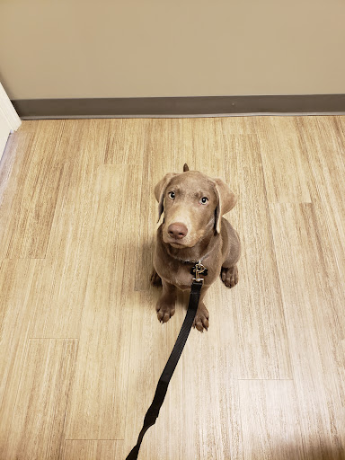Foothills Veterinary Hospital - South - Thumbnail