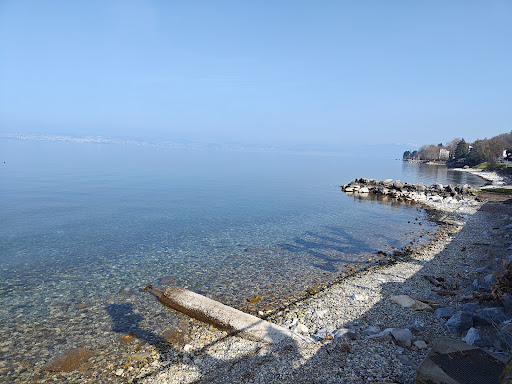 La Table du Grand Lac - Thumbnail