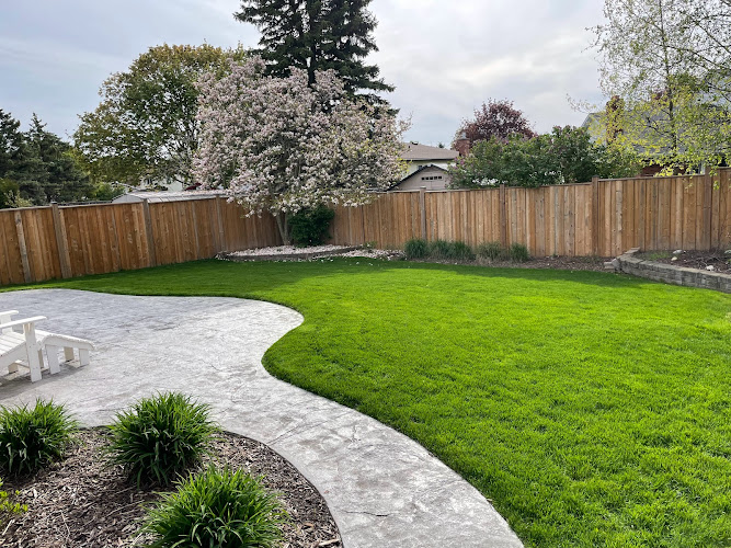 GreenLeaf Electric Lawn Care work photo 1