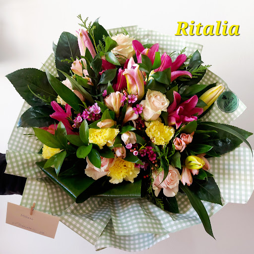 Ritalia - Visual