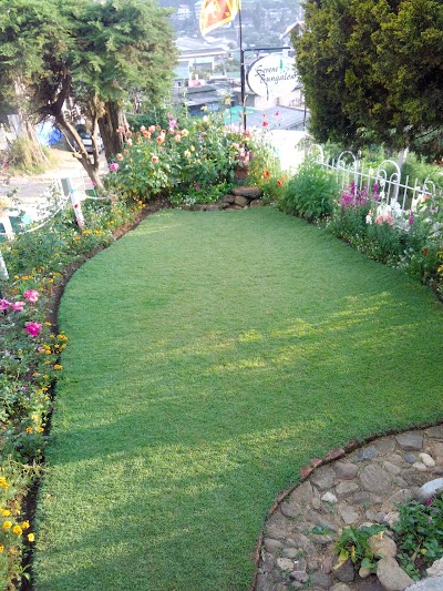 Photos of Serene Bungalow