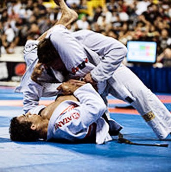Palm BJJ Brazilian Jiu-Jitsu - Thumbnail