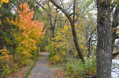 Lake Bemidji State Park