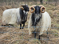 La Ferme du Guéoir à Haillainville