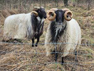 Photo n°1 de La Ferme du Guéoir à Haillainville (Magasin de produits de la ferme)