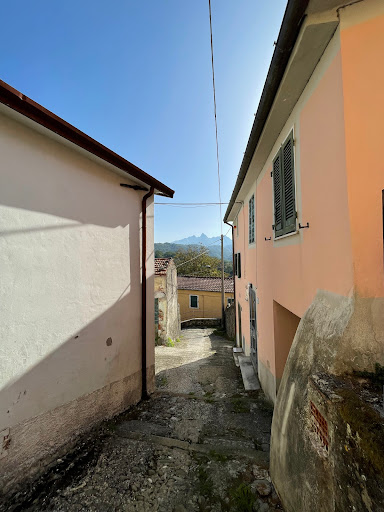 Ceserano - Visual