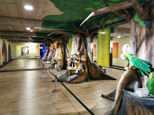 Museo Francisco Gabilondo Soler - Thumbnail