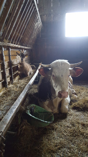 Ferme des Sorbiers