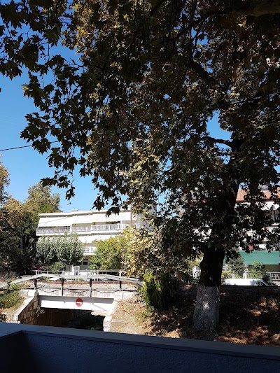 Photos of Galanis Studios and Apartments