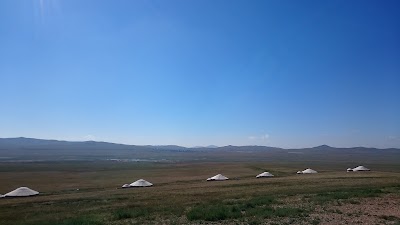 lodging