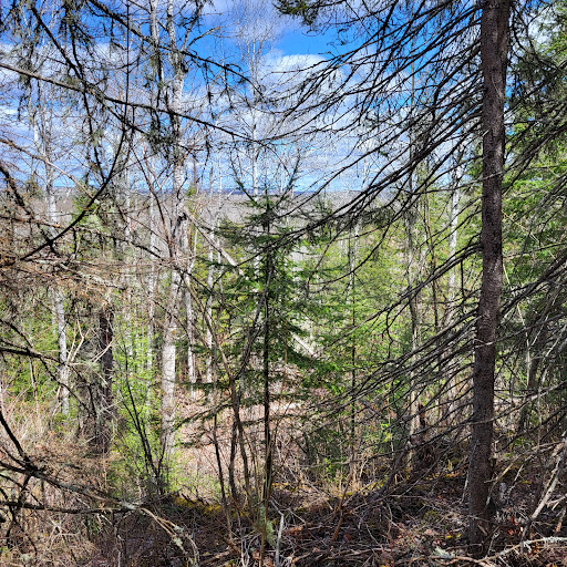 Pearson wetlands Trail - Thumbnail