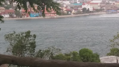 Photos of Zapote tree inn