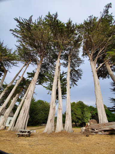 Point Cabrillo Light Station Parking - Thumbnail