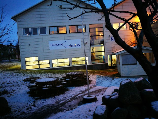 Fotobrygga