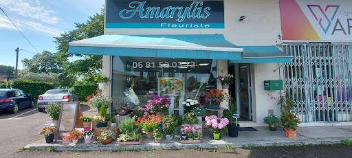 Amaryllis Pompignan 82 Logo