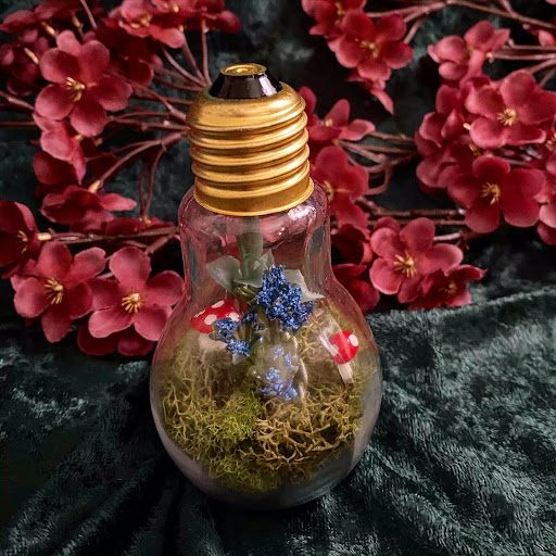 Garden Oddities - Thumbnail