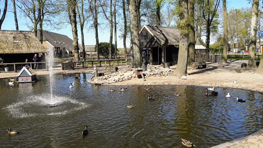 Parkeerplaats eendenvijver - Thumbnail