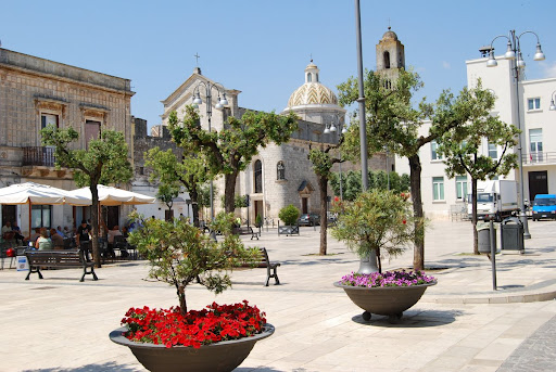 Pugliadamare - Visual