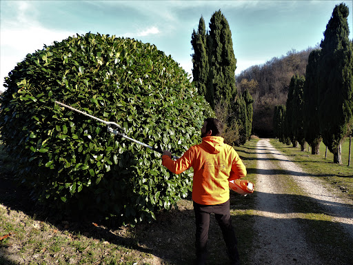 Matteo Bertolini Giardiniere - Thumbnail