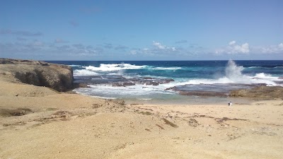 Photos of Segway of Barbados