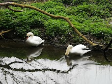 Byron’s Pool LNR cambridge