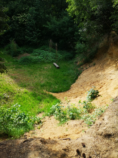 Wald-Grube - Visual