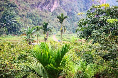 Photos of ZICO HOMESTAY