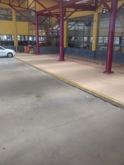 Photos of Terminal Buses Cruz Del Sur Puerto Montt