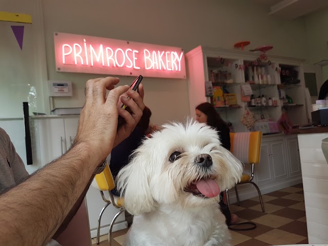 Primrose Bakery